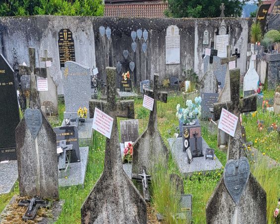 Reprise terrains communs du cimetière